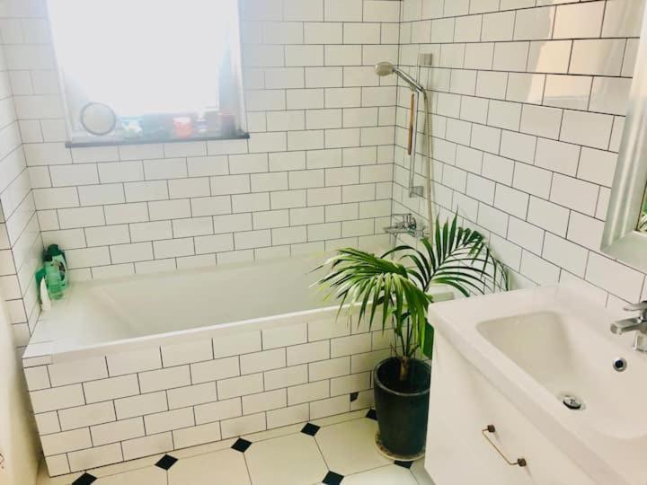 Stylowy Apartament W Centrum Miasta ビィドゴシュチュ エクステリア 写真